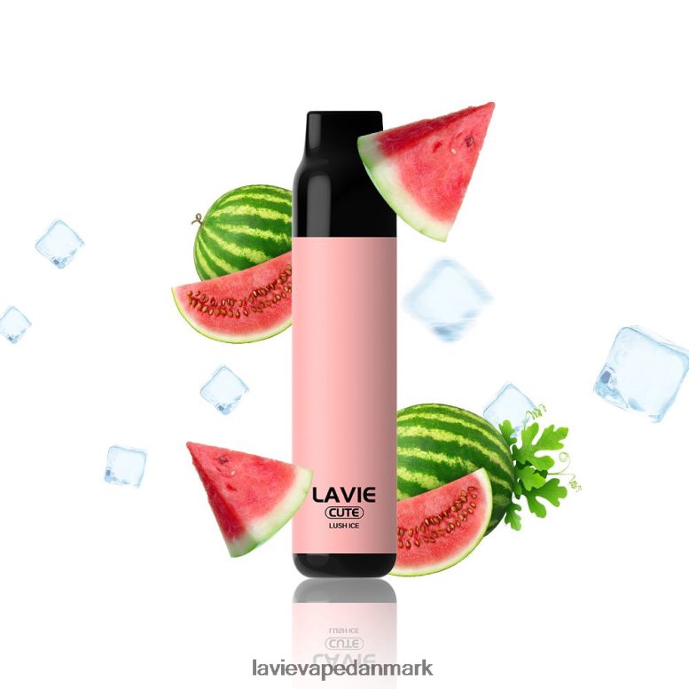 Lavie Vape Købe - LAVIE BAR 3000 pust frodig is 42P60T285