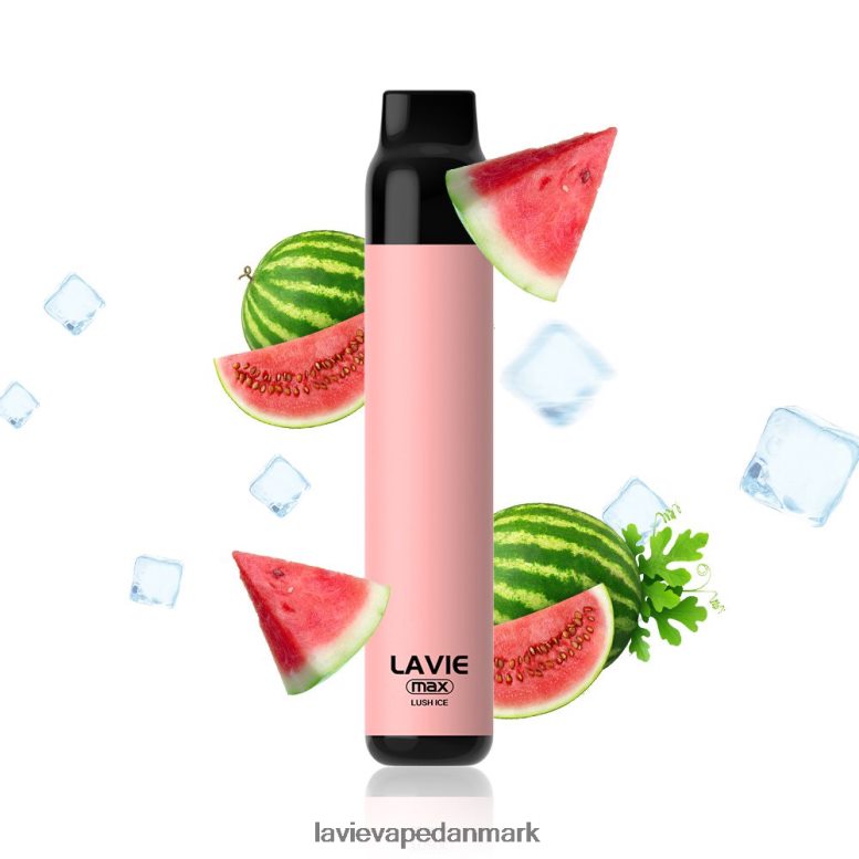 Lavie Vape Danmark - LAVIE BAR 5000 sug - max frodig is 42P60T277