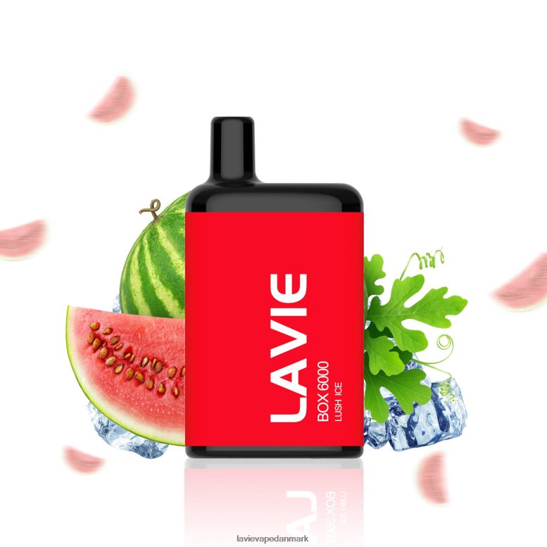 Lavie Vape Danmark - LAVIE BOX 6000 pust frodig is 42P60T199