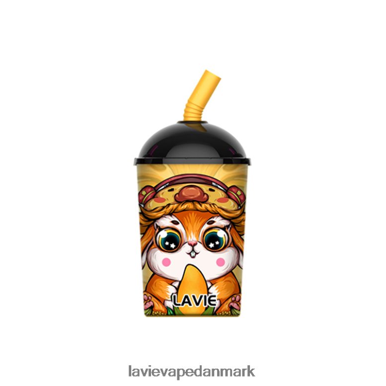 mango er