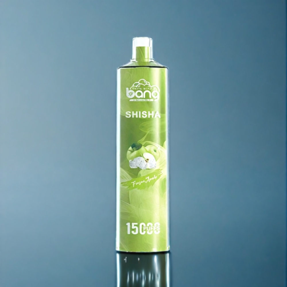Bang Shisha 15000 Puffs Engros Danmark Type-C Opbevaring Frossent Æble