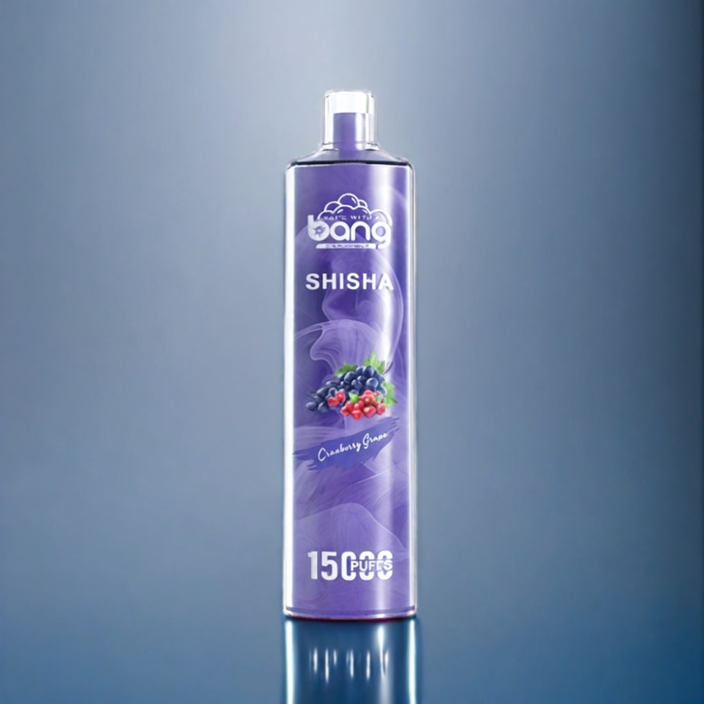 Bang Shisha 15000 Puffs Engros Danmark Type-C Tranebær Drue