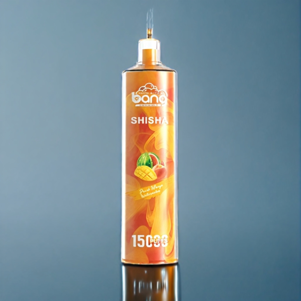 Bang Shisha 15000 Puffs Engros Danmark bærbar vape fersken mango vandmelon Type-C