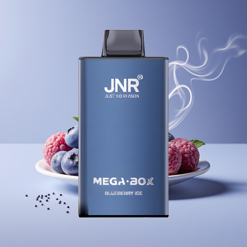 JNR Mega Box 25000 Puffs Engros Danmark Bærbar Vape Blåbær Is Type-C Hurtigopladning