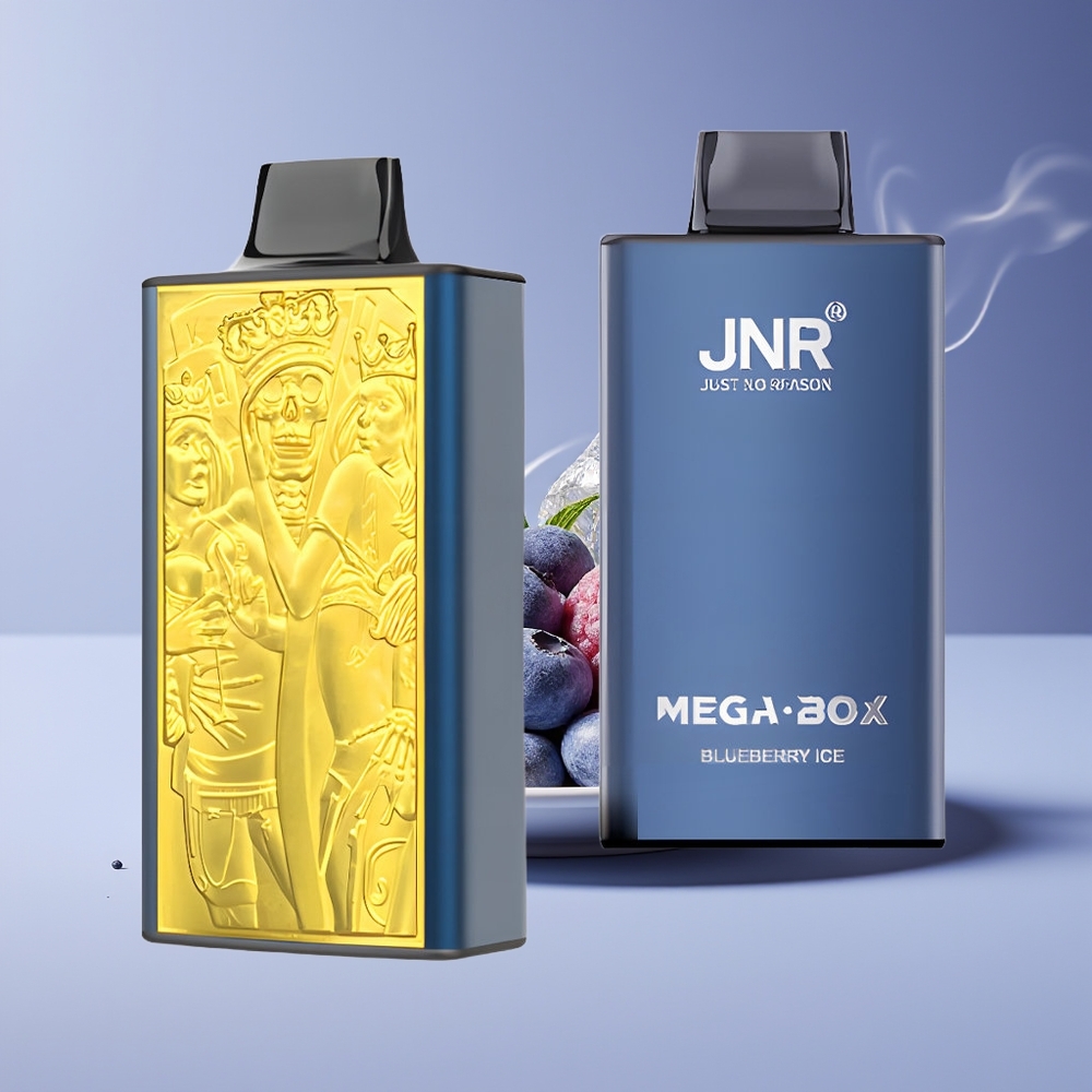 JNR Mega Box 25000 Puffs Engros Danmark Bærbar Vape Blåbær Is Type-C Hurtigopladning