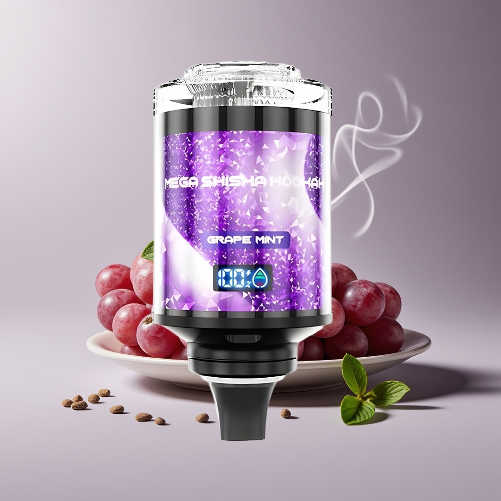JNR Mega Shisha Hookah 100K 2 Mund Type-C Engros Danmark Drue Mynte