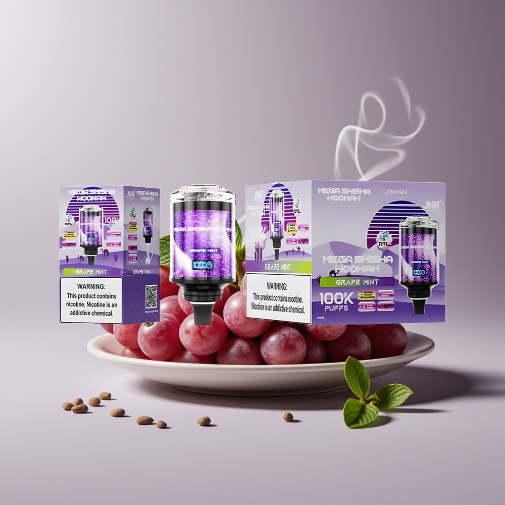 JNR Mega Shisha Hookah 100K 2 Mund Type-C Engros Danmark Drue Mynte