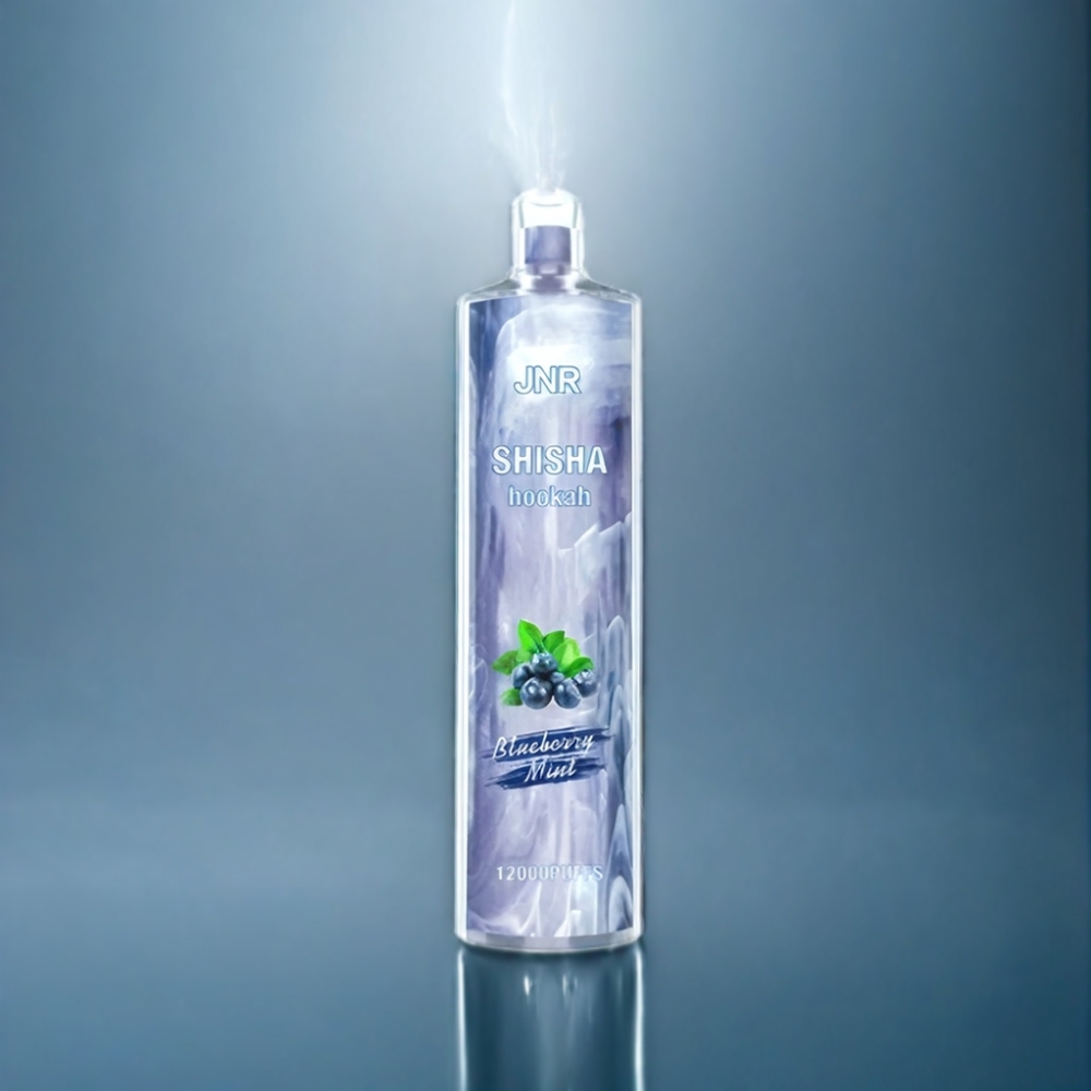JNR Shisha Hookah 12000 Puffs Blåbær Mynte 750mAh Engros Danmark