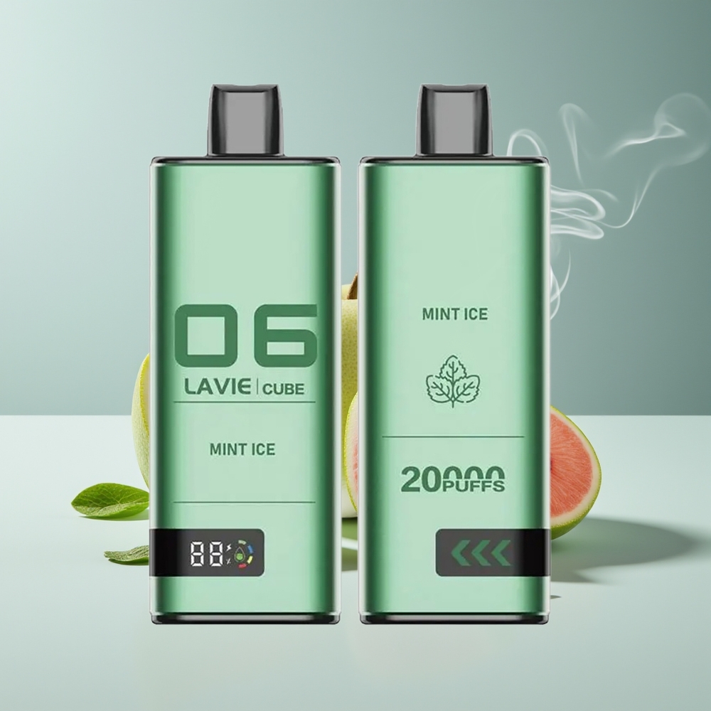 Lavie Cube 20000 Puffs Type C Engros Danmark Mint Is