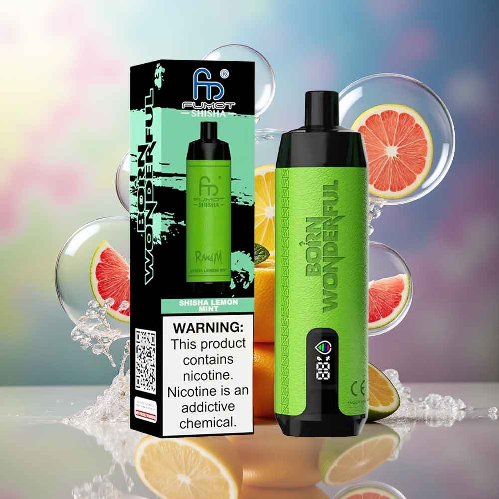RandM Fumot Shisha 10000 Puffs Engros Danmark 18ml Citron Mynte