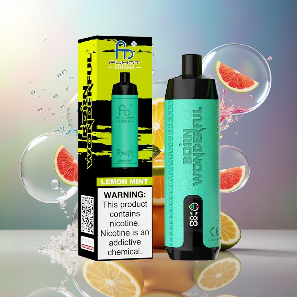 RandM Fumot Shisha 10000 Puffs Engros Danmark 850 mAh Citron Mynte