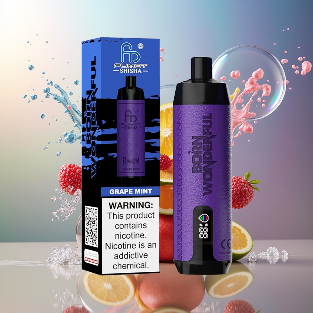RandM Fumot Shisha 10000 Puffs Engros Danmark Type-C Port Vindrue Mynte