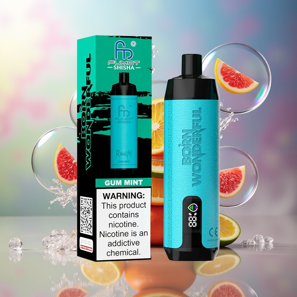 RandM Fumot Shisha 10000 Puffs Engros Danmark Type-C Tyggegummi Mint