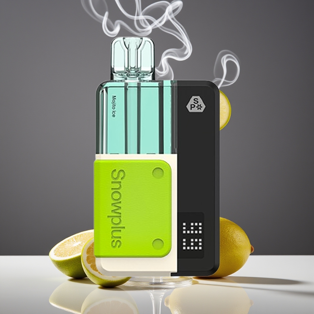 Snowplus Swift 5000 Puffs Dual Mesh Mojito Is Engros Danmark