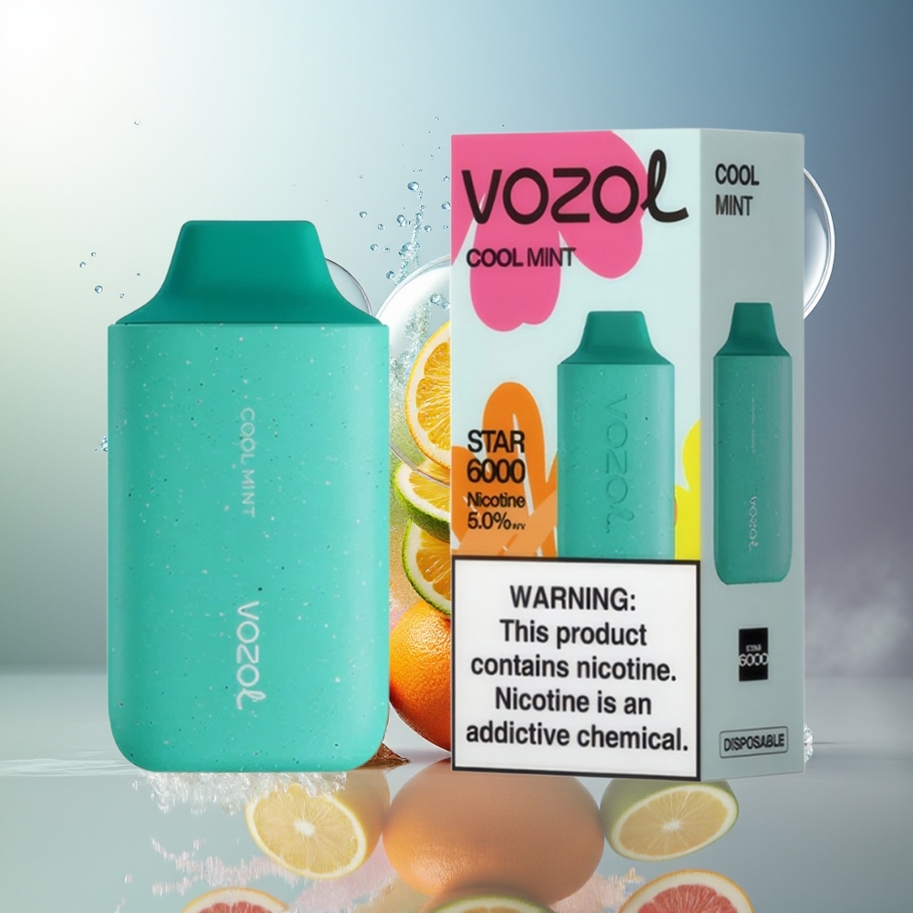 VOZOL STAR 6000 Engros Danmark Kølig Mynte Type-C Opladning