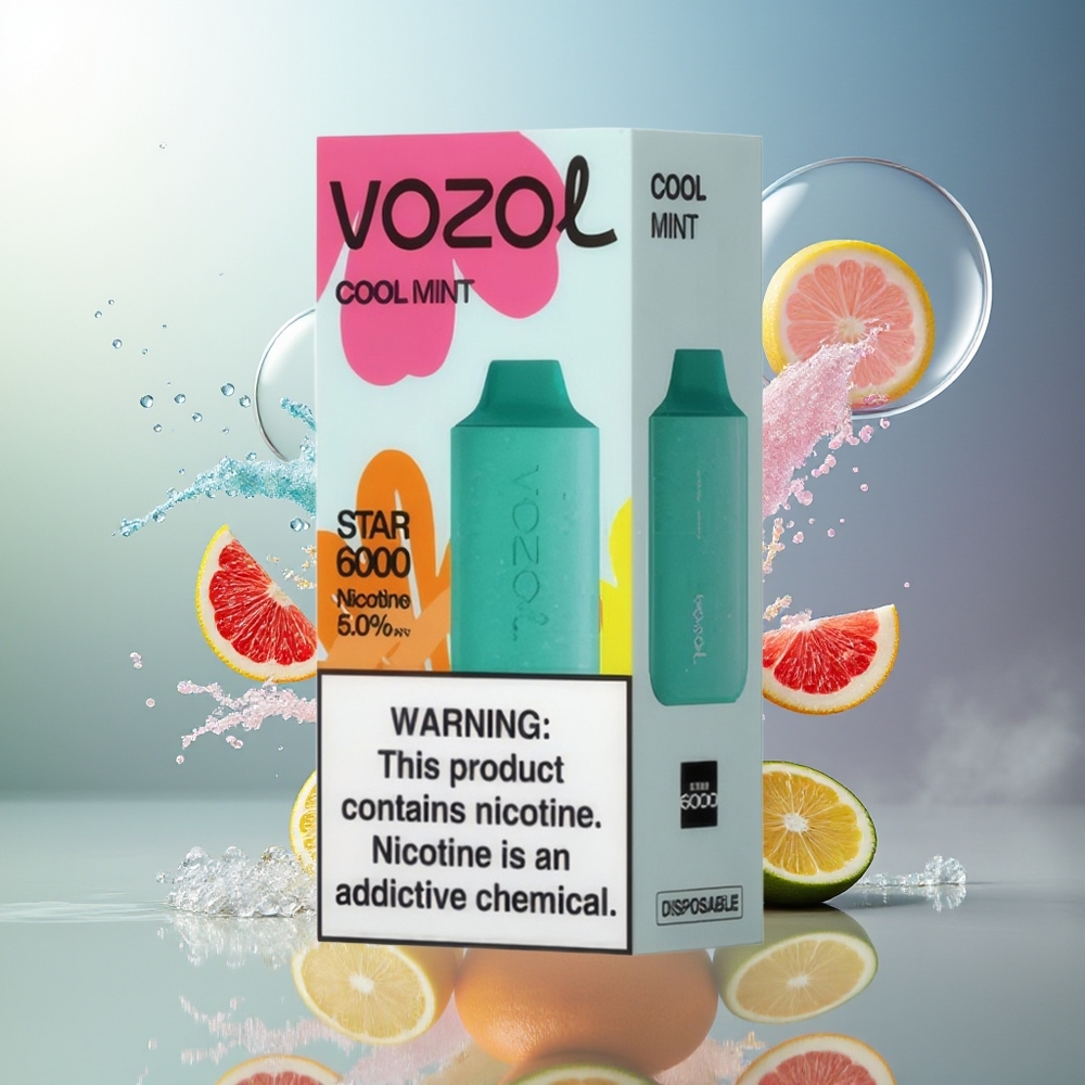 VOZOL STAR 6000 Engros Danmark Kølig Mynte Type-C Opladning