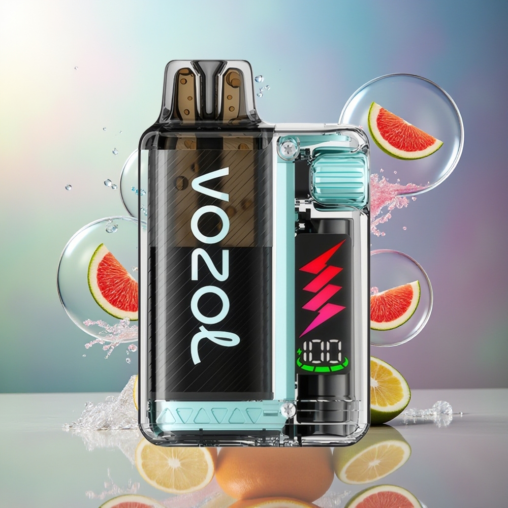 VOZOL VISTA PLUG 6000/10000 Miami Mynte Engros Danmark 4-Level Wattage Control